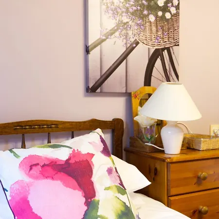 Tatil Evi Le Des Violettes